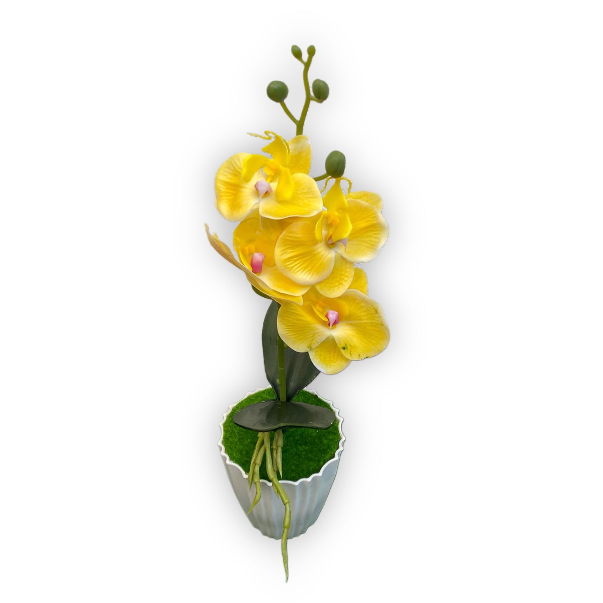 orhidee-silicon-real-touch-1-fir-40cm-Flowers31
