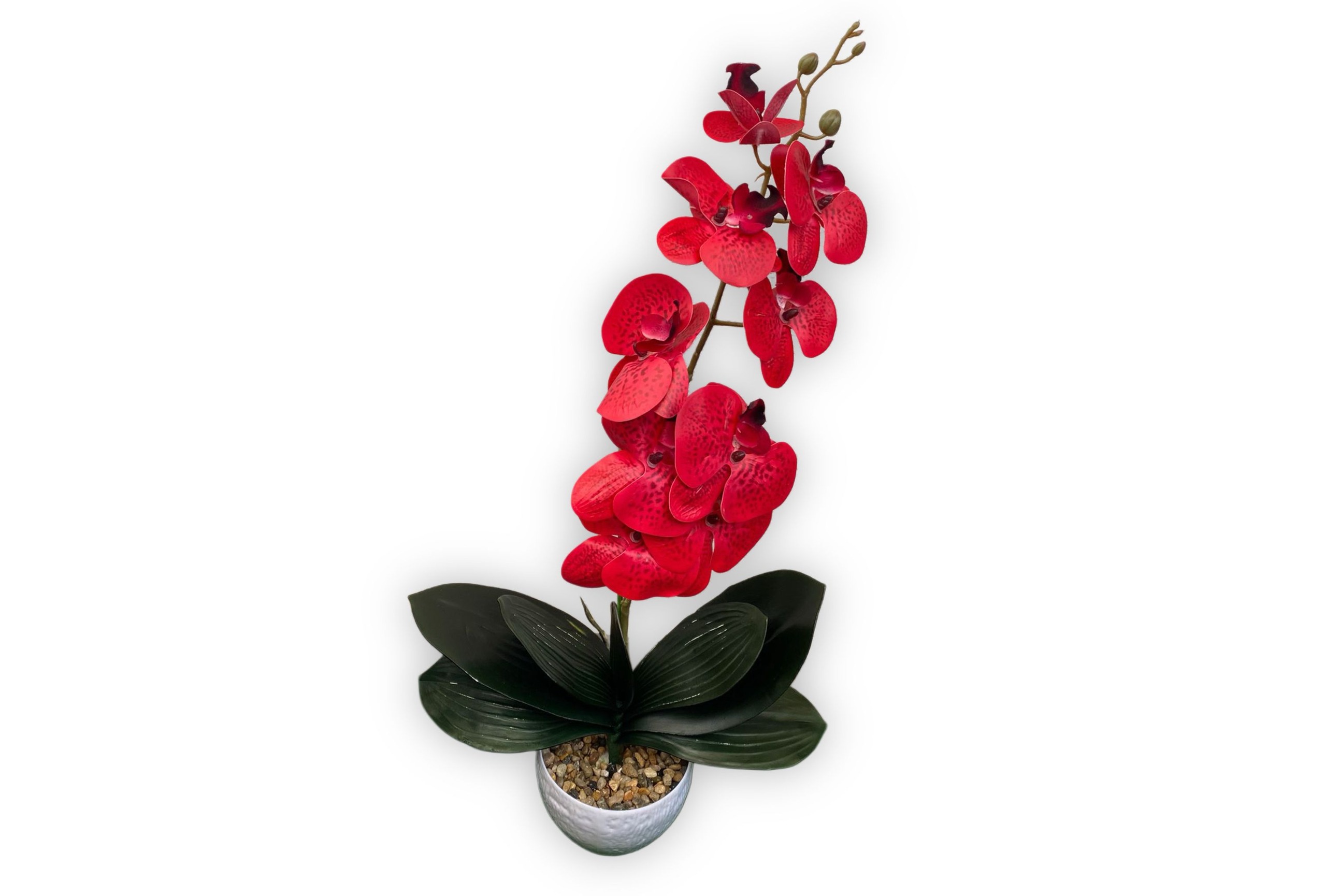 orhidee-silicon-real-touch-1-fir-60cm-ghiveci-decorativ-rosu-Flowers31