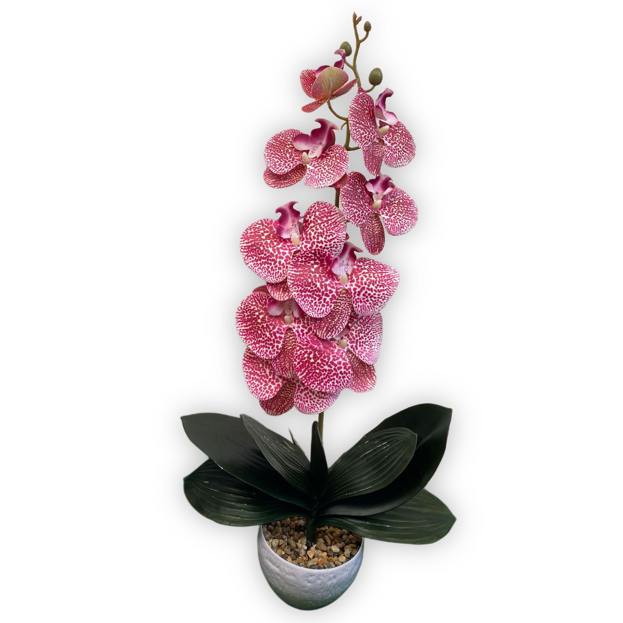 orhidee-silicon-real-touch-1-fir-60cm-Flowers31
