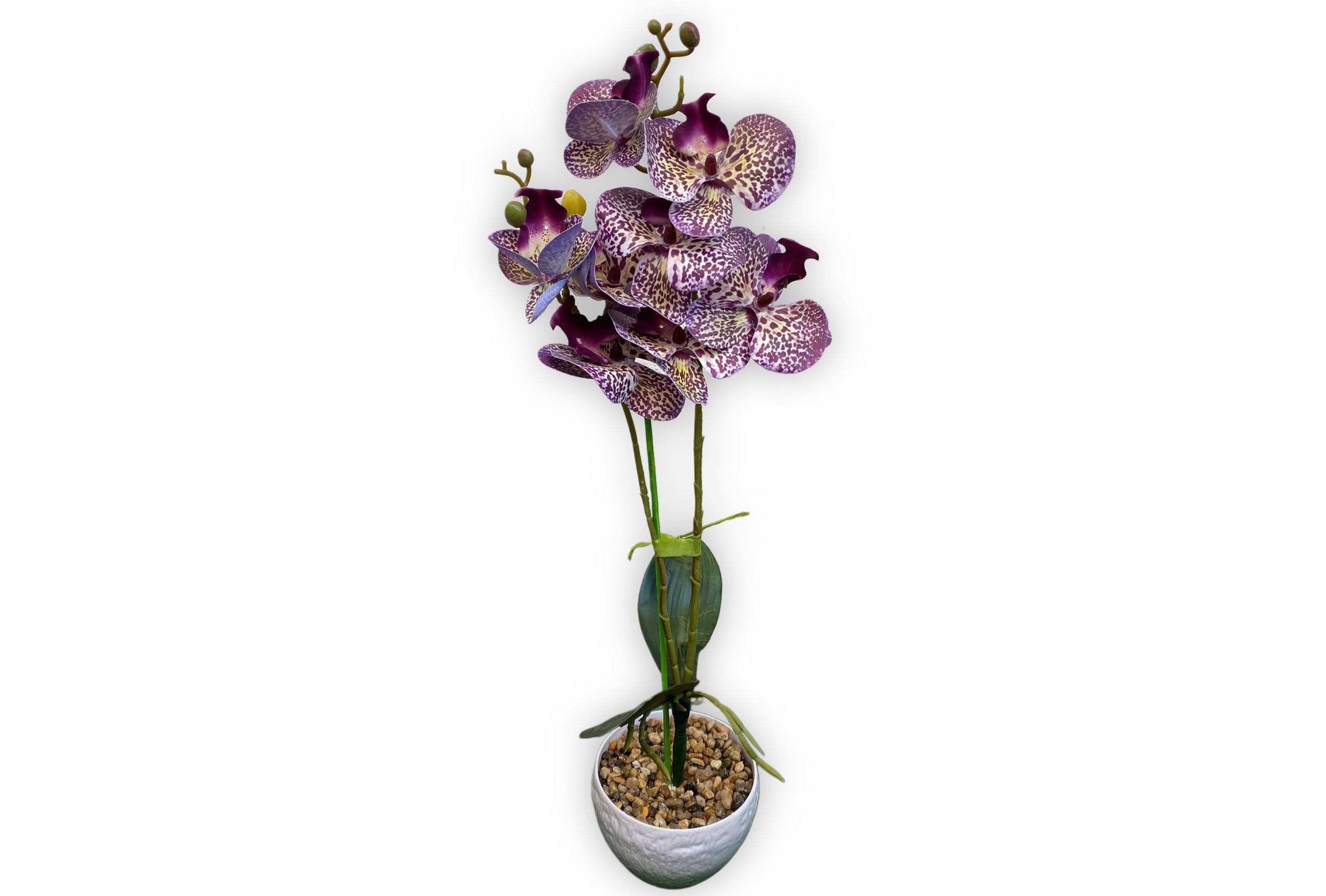 orhidee-artificiala-silicon-real-touch-2-fire-55cm-ghiveci-crem-mov-Flowers31