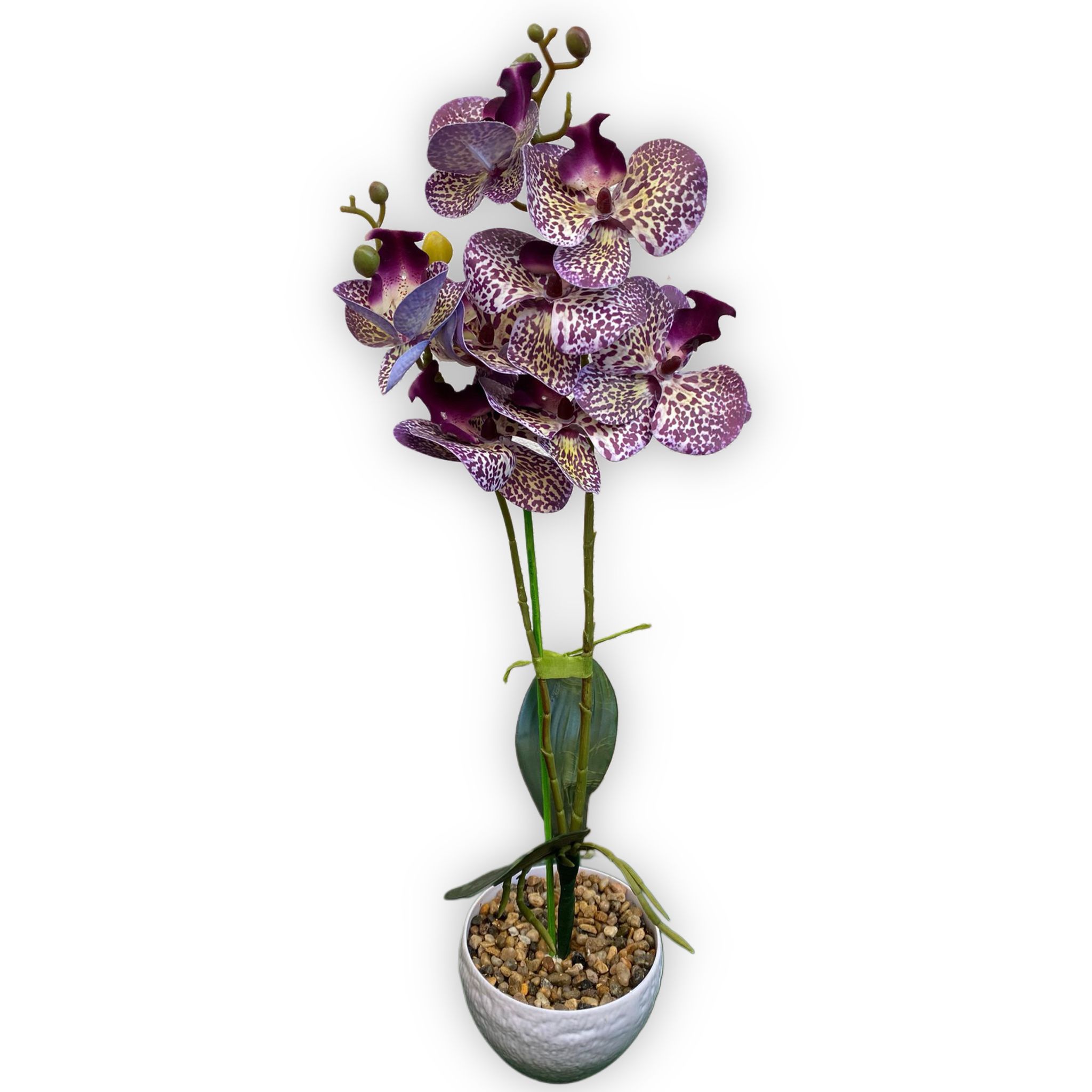orhidee-artificiala-silicon-real-touch-2-fire-55cm-mov-crem orhidee-artificiala-silicon-real-touch-2-fire-55cm-mov-crem-Flowers31