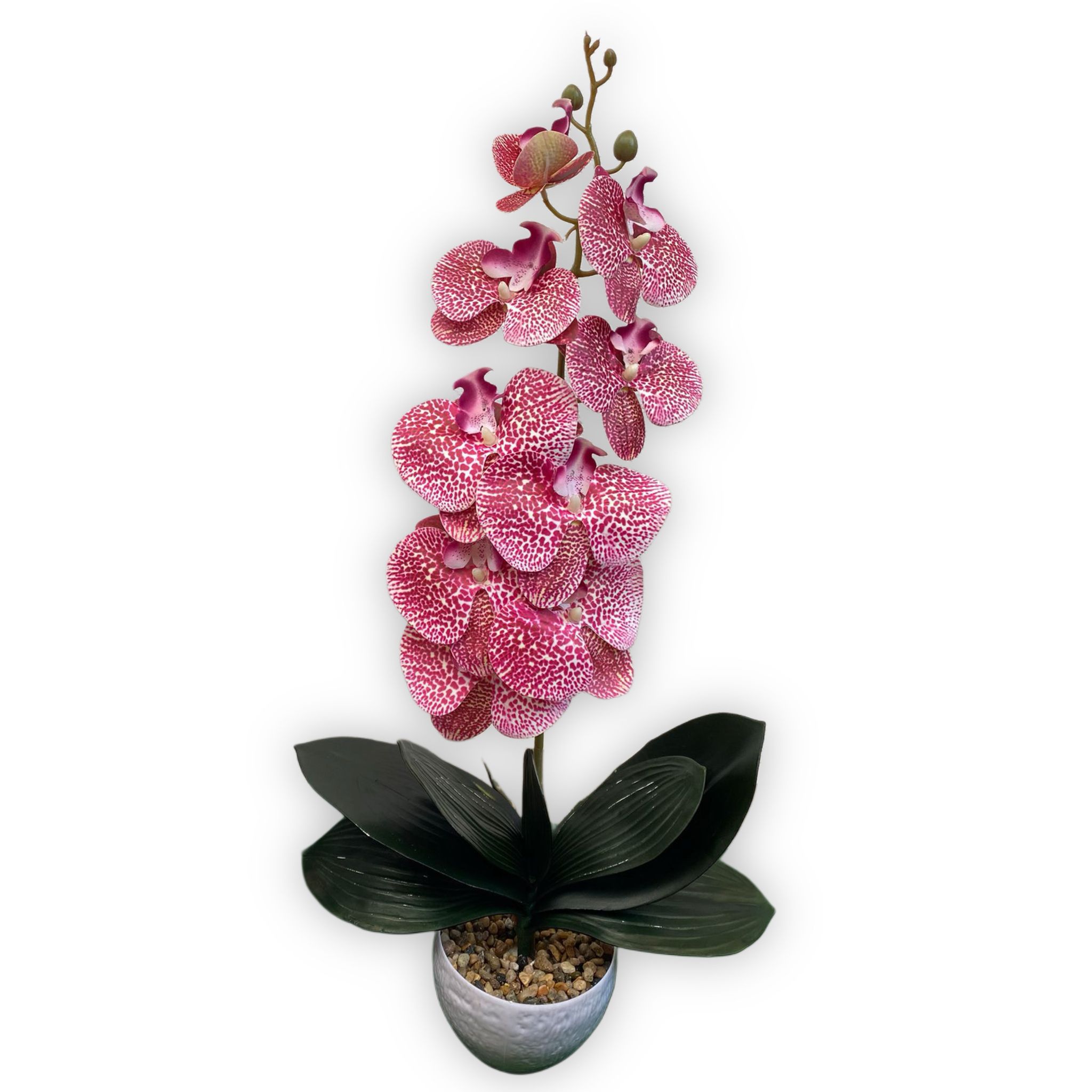 orhidee-silicon-real-touch-1-fir-60cm-ghiveci-decorativ orhidee-silicon-real-touch-1-fir-60cm-ghiveci-decorativ-Flowers31