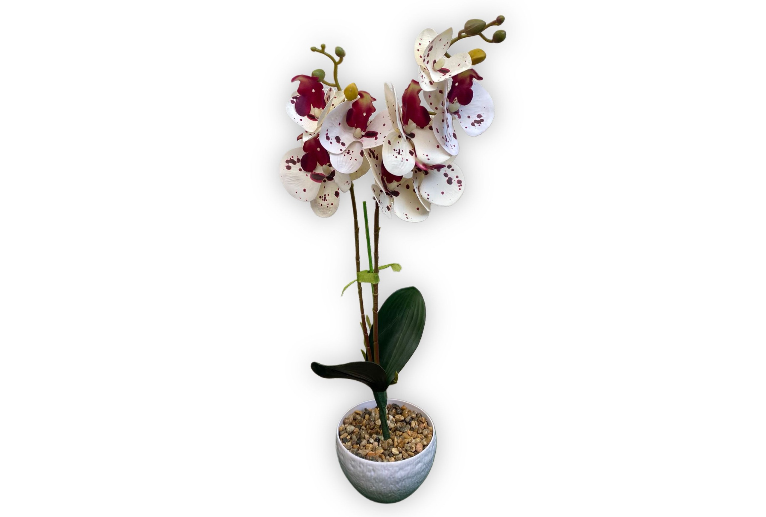 orhidee-artificiala-silicon-real-touch-2-fire-55cm-ghiveci-alb-grena-Flowers31