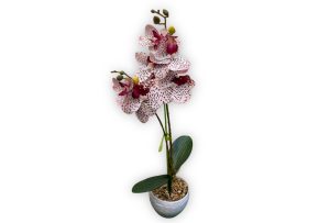 orhidee-artificiala-silicon-real-touch-2-fire-55cm-ghiveci-alb-roz-Flowers31