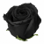 Negru